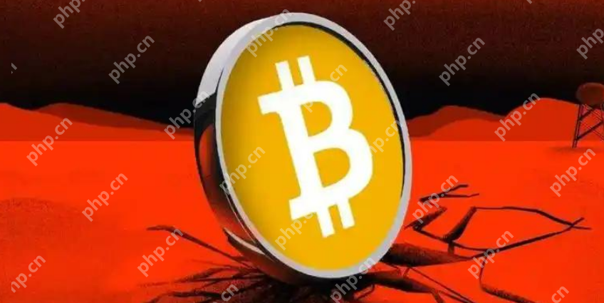 最大虚拟币app是哪个？2025全球最大最安全虚拟币平台一览 - php中文网